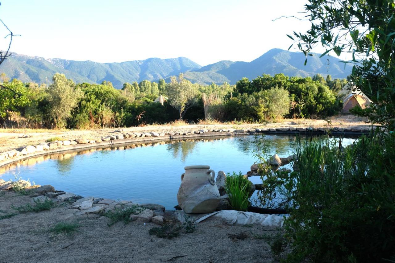 Ecovita Agri-Glamping San Vito  Bagian luar foto