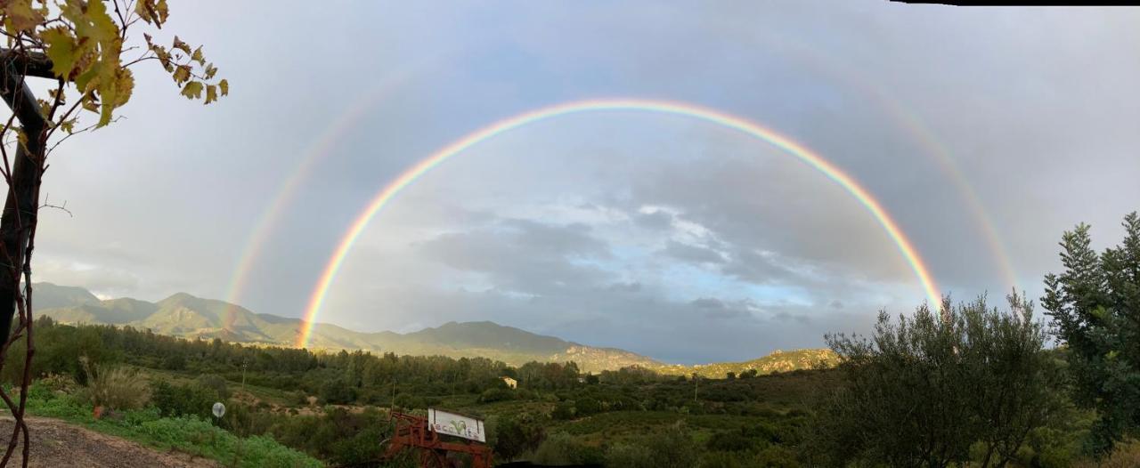 Ecovita Agri-Glamping San Vito  Bagian luar foto