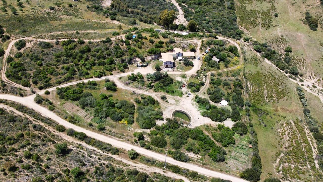Ecovita Agri-Glamping San Vito  Bagian luar foto