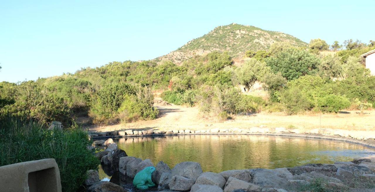 Ecovita Agri-Glamping San Vito  Bagian luar foto