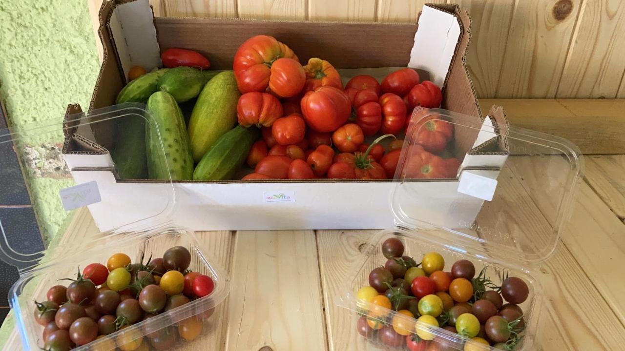 Ecovita Agri-Glamping San Vito  Bagian luar foto