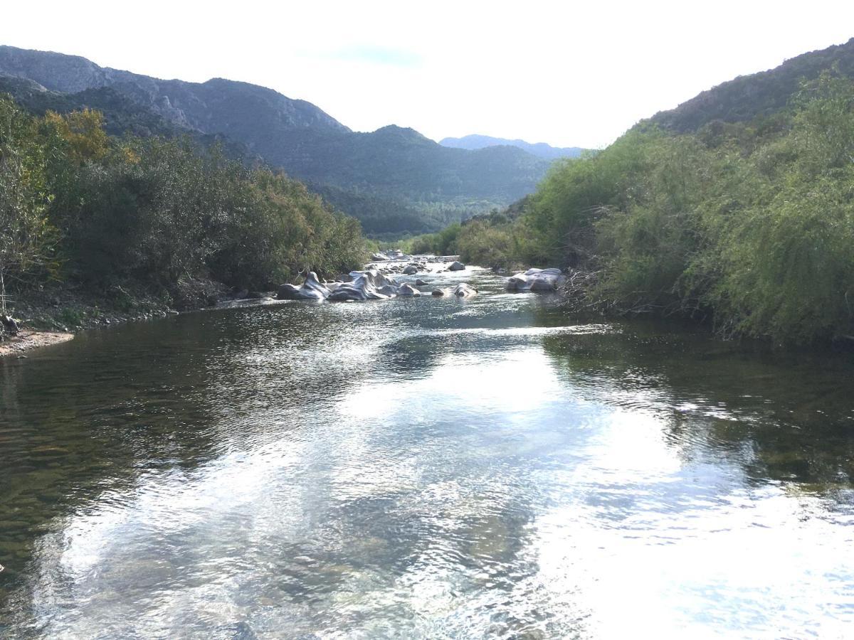 Ecovita Agri-Glamping San Vito  Bagian luar foto