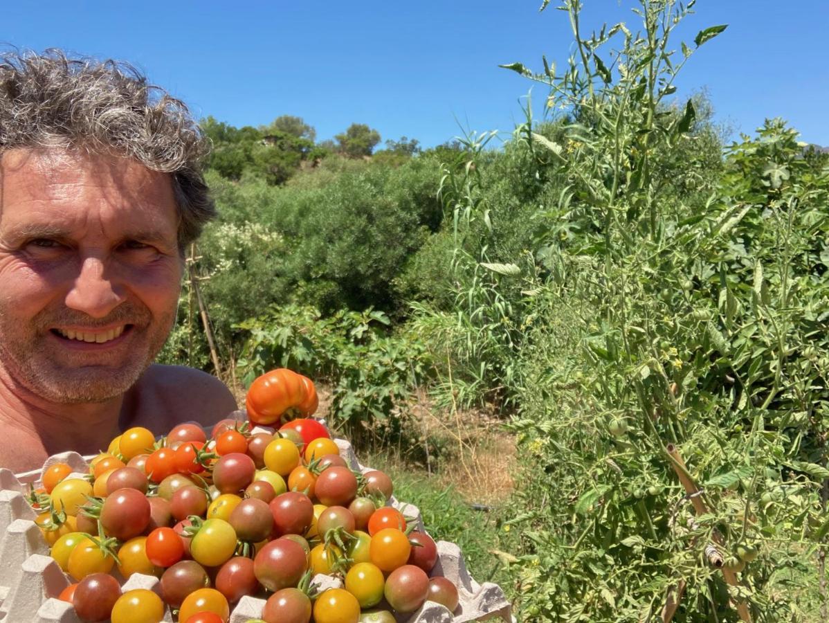 Ecovita Agri-Glamping San Vito  Bagian luar foto